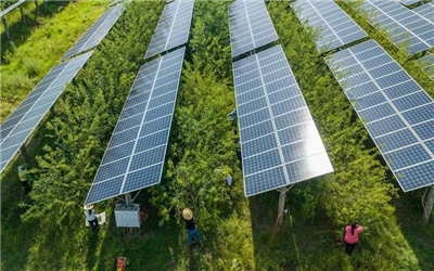 IEA: Tăng trưởng công suất năng lượng tái tạo sẽ bùng nổ trong 5 năm tới