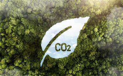Khai thác 'mỏ vàng' tín chỉ carbon