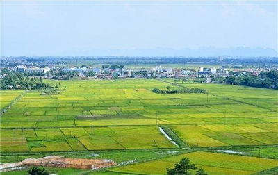 Khẩn trương hoàn thiện 4 dự thảo Nghị định liên quan đến đất đai
