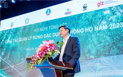 Không còn thấy hổ, báo gấm, sói lửa và sao la qua bẫy ảnh