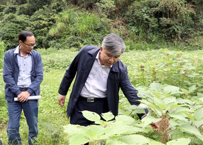 Không để lãng phí đất nông nghiệp