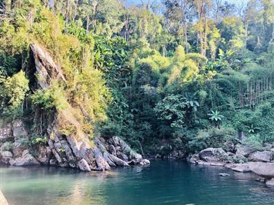 Khu bảo tồn thiên nhiên Mường Nhé