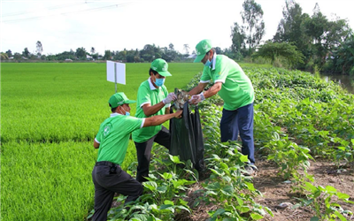 Khuyến khích sử dụng thuốc bảo vệ thực vật sinh học trong sản xuất nông nghiệp