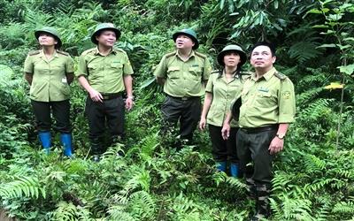 Kiểm lâm Thái Nguyên: Giữ vững màu xanh, nâng tầm quản lý rừng bền vững
