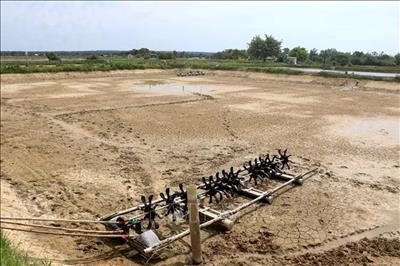 Kiểm tra, đánh giá nguyên nhân gây ô nhiễm nguồn nước sông Sa Lung