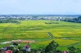 Kiên quyết khắc phục tình trạng đầu cơ đất, sử dụng đất không đúng mục đích, lãng phí, tham nhũng