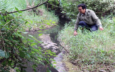 Kiên quyết yêu cầu các trang trại chăn nuôi phải đảm bảo vệ sinh môi trường