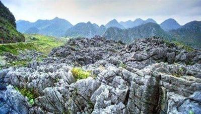 Kinh nghiệm quốc tế về quản lý và bảo vệ môi trường di sản thiên nhiên và đề xuất cho Việt Nam