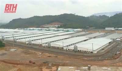 Lang Chánh: Người dân bức xúc vì trại lợn gây ô nhiễm