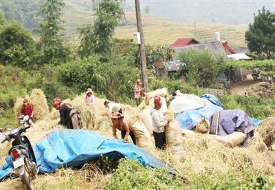 Lào Cai: Nhiều giải pháp hạn chế khí thải từ sinh hoạt tại nông thôn