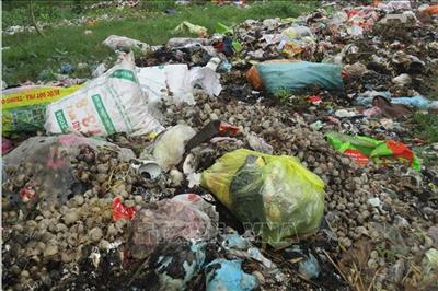 Long An: Tăng cường kiểm tra, xử lý vi phạm về môi trường