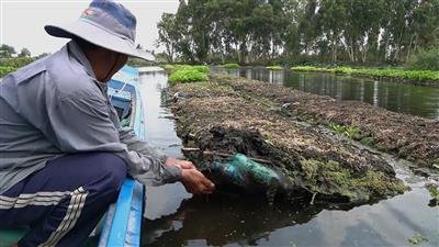Mô hình trồng rau giúp bảo vệ môi trường và hệ sinh thái