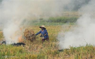Môi trường nông nghiệp đang bị đe doạ
