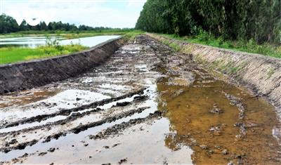 Một doanh nghiệp ở An Giang xây dựng sân đua bò không phép, bất chấp pháp luật