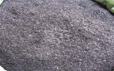 Một số ứng dụng tro trấu trong lọc nước