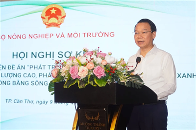 Một triệu hecta lúa chất lượng cao: Đi sớm, đón đầu xu thế tiêu dùng xanh
