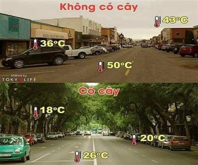 Mùa hè năm 2023: Thế giới nắng nóng phá kỷ lục