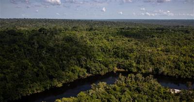 Mỹ Latin và Caribe chung tay bảo vệ môi trường