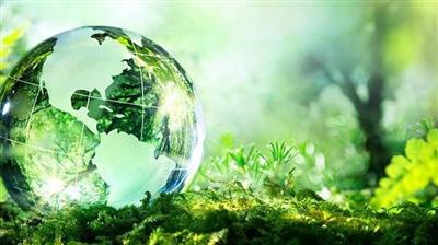 Năm 2022: Hành động với những mục tiêu khẩn cấp về môi trường