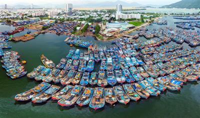Năm 2025 sẽ xóa điểm nóng ô nhiễm môi trường tại âu thuyền Thọ Quang