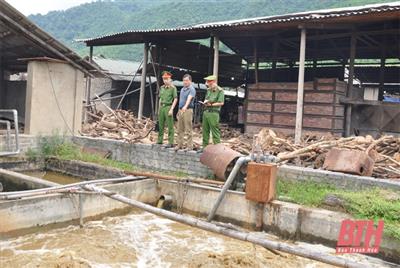 Nâng cao hiệu quả đấu tranh phòng, chống tội phạm và vi phạm pháp luật về môi trường
