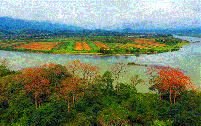 Ngăn chặn suy giảm đa dạng sinh học