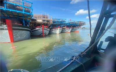 Ngăn chặn tình trạng mất tín hiệu giám sát hành trình tàu cá