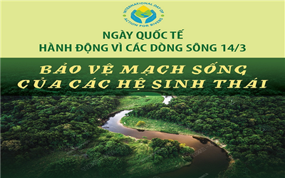 Ngày Quốc tế Hành động vì các dòng sông: Nỗ lực Hành động cho các hệ sinh thái