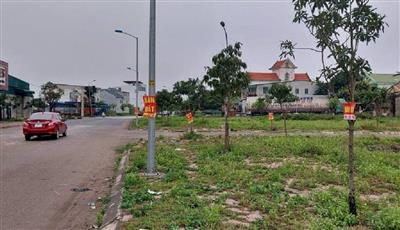 Nghệ An: Chỉ đạo tăng cường công tác quản lý đất đai