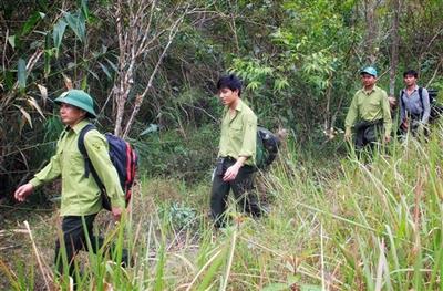 Nghệ An: Chỉ đạo thực hiện chi trả giảm phát thải nhà kính vùng Bắc Trung bộ