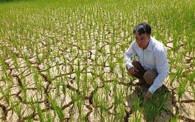 Nghệ An: Phòng chống hạn hán, thiếu nước, xâm nhập mặn