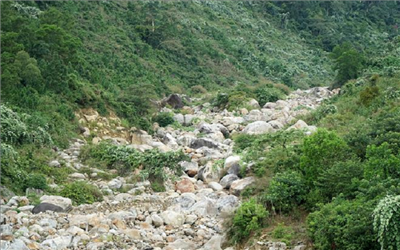 Nghiên cứu bảo vệ dòng suối Lương trên đèo Hải Vân