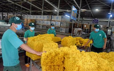 Nghiên cứu khả năng xử lý chất hữu cơ trong nước thải chế biến cao su tự nhiên bằng thiết bị EGSB