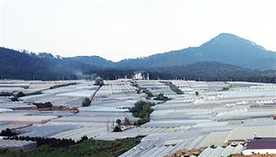 Ngưng thu hồi 410 thửa đất liên quan dự án dân cư lớn nhất Đà Lạt
