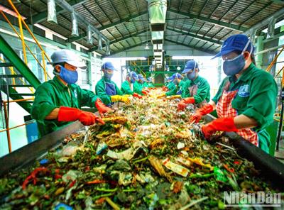 Nhà máy xử lý rác duy nhất tại Cà Mau tái hoạt động
