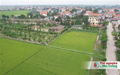 Nhà nước sẽ thu hồi đất nông nghiệp bỏ hoang từ 01/8/2024