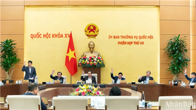 Nhất trí giảm tiền thuê đất năm 2024 để hỗ trợ người dân và doanh nghiệp