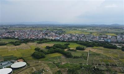 Nhiều băn khoăn về phương pháp định giá đất
