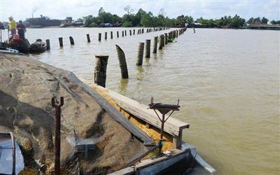 Nhiều diện tích đất bãi bồi ở đồng bằng sông Cửu Long bị lấn chiếm