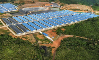 Nhiều tổ chức, cá nhân tại Đắk Nông bị xử phạt về lĩnh vực tài nguyên và môi trường