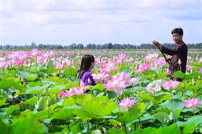 Những nghiên cứu về phát triển du lịch sinh thái có trách nhiệm và đề xuất phát triển bền vững gắn với bảo vệ môi trường