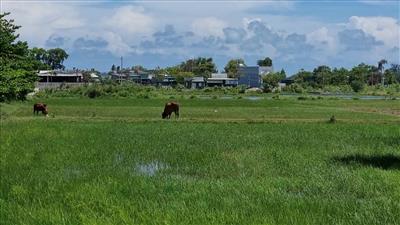 Những trường hợp thu hồi đất nhưng không được bồi thường về đất