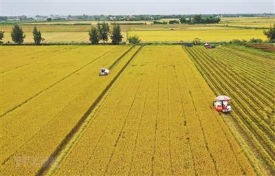 Ninh Bình được phép xây dựng các công trình phục vụ trực tiếp sản xuất nông nghiệp