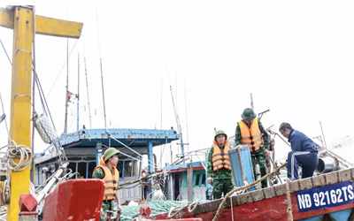 Ninh Bình khẩn cấp ứng phó bão số 5: Chủ động di dời dân, đảm bảo an toàn tuyệt đối