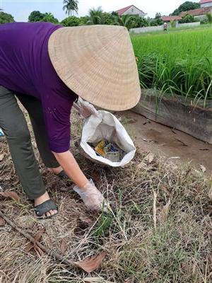 Nỗi lo rác thải trong nông nghiệp chưa được xử lý