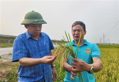Nông nghiệp hữu cơ - Tầm nhìn dài hạn giữa thực tế đầy thách thức ở Nghệ An