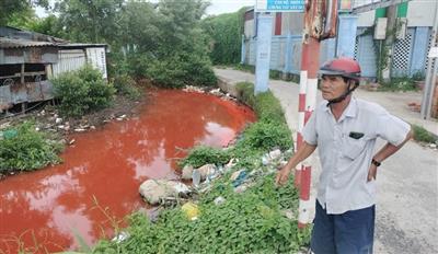 Nước kênh bỗng chuyển sang màu đỏ lạ thường ở Cà Mau