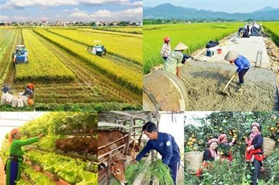 Phân cấp mạnh cho cấp huyện