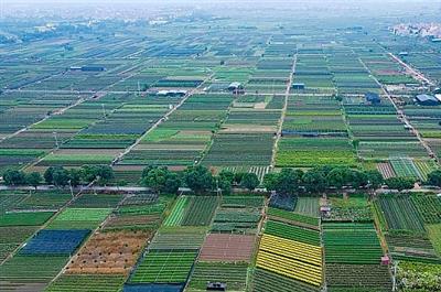 Phân quyền cho Hà Nội chuyển mục đích sử dụng đất trồng lúa, đất rừng