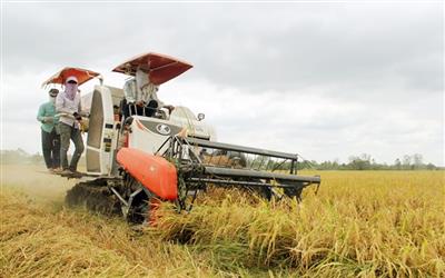 Đề xuất một số biện pháp phát triển bền vững vùng Đồng bằng sông Cửu Long